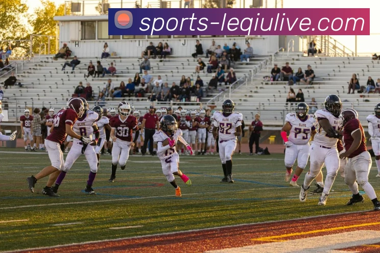 App Interface Preview